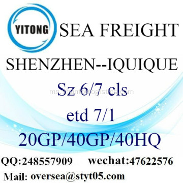 Shenzhen Port Sea Freight Shipping ke Iquique